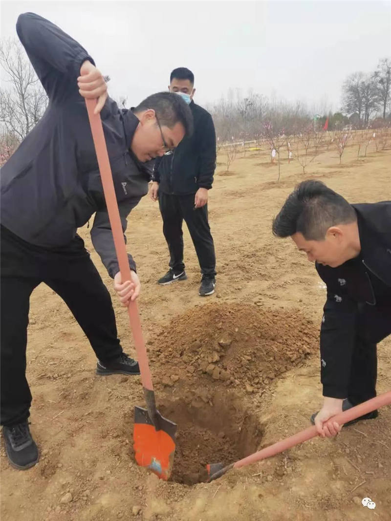 植树节踏青活动 